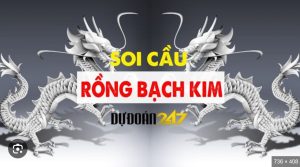 Soi Rồng Bạch Kim 666 theo lô 2 nháy